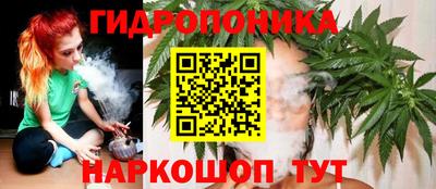 скорость Аргун