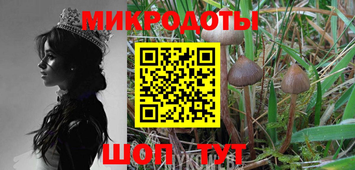 Асино  купить  сайты  Вход с VPN  Псилоцибиновые грибы Psilocybine cubensis 