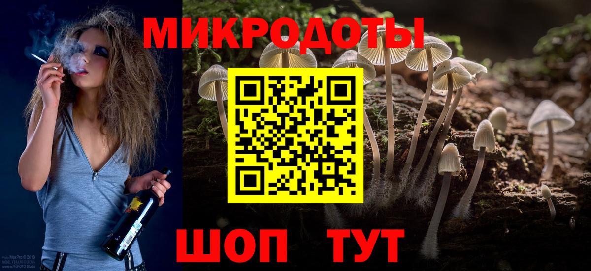 Псилоцибиновые грибы Cubensis Асино